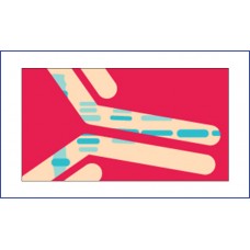 Western Blotting Antibodies